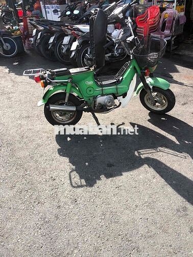 Honda Chaly 81/50 50cc Xanh lá