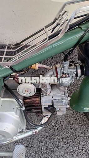 Honda Cub 81 50cc Xanh