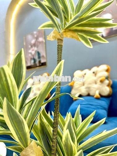 Cho thuê CHDV 2PN 60m2 full Nội thất ban công rộng rãi, 03 Tr Mai Ninh