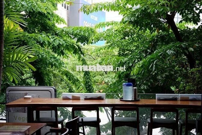 |Tuyển dụng phụ bếp|_Nhà hàng chay Măng’s Mani