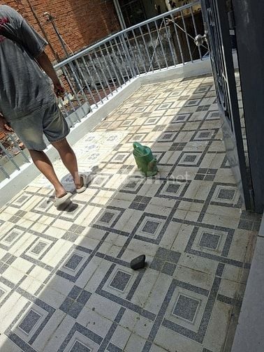 Nhà hẻm 4x16 Dương Bá Cung , đối diện bến xe miền Tây