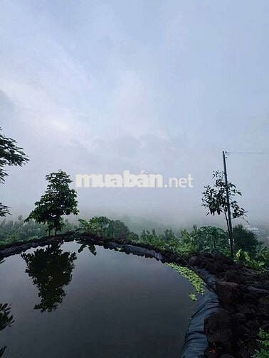 BÁN ĐẤT VƯỜN VIEW SÔNG LA NGÀ – DIỆN TÍCH 1.400m² – GIÁ CHỈ HƠN 1 TỶ