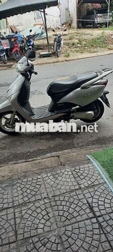 Honda Lead Bạc