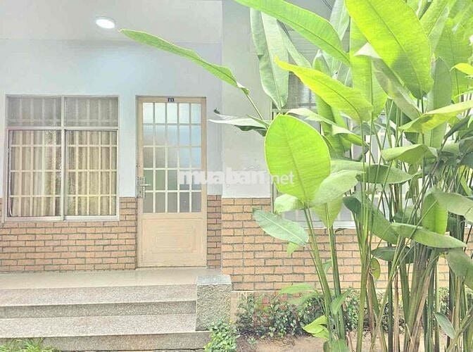 CHO THUÊ VILA MINI SÂB VƯỜN FULL NỘI THẤT ĐẦY ĐỦ