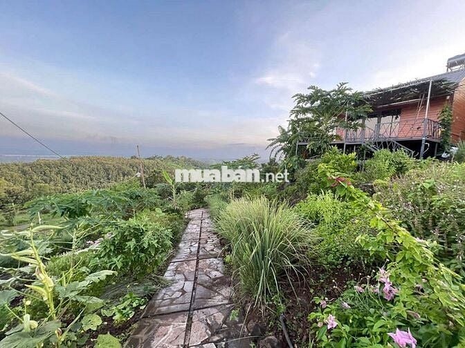 BÁN ĐẤT VƯỜN VIEW SÔNG LA NGÀ – DIỆN TÍCH 1.400m² – GIÁ CHỈ HƠN 1 TỶ