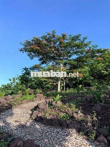 BÁN ĐẤT VƯỜN VIEW SÔNG LA NGÀ – DIỆN TÍCH 1.400m² – GIÁ CHỈ HƠN 1 TỶ