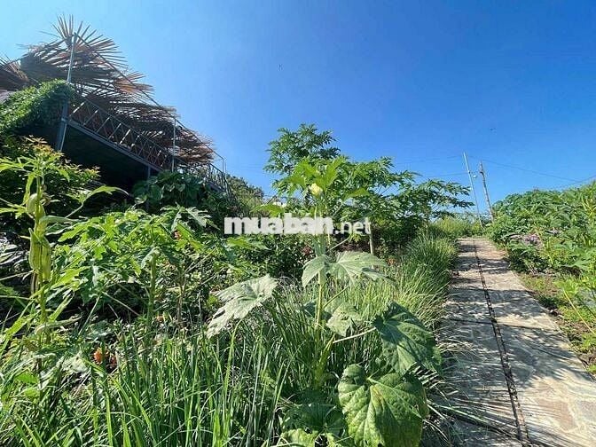 BÁN ĐẤT VƯỜN VIEW SÔNG LA NGÀ – DIỆN TÍCH 1.400m² – GIÁ CHỈ HƠN 1 TỶ