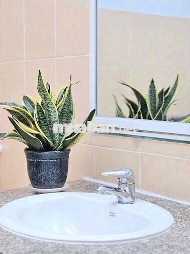 CHO THUÊ VILA MINI SÂB VƯỜN FULL NỘI THẤT ĐẦY ĐỦ
