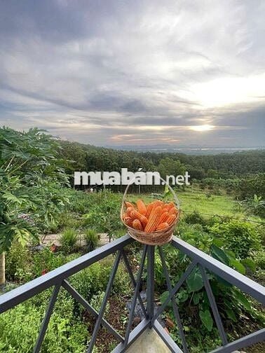 BÁN ĐẤT VƯỜN VIEW SÔNG LA NGÀ – DIỆN TÍCH 1.400m² – GIÁ CHỈ HƠN 1 TỶ