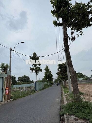 Hàng FO đất thổ mới ra lò sổ hồng cầm tay
