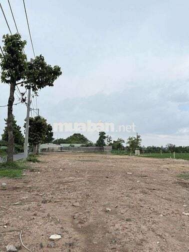 Hàng FO đất thổ mới ra lò sổ hồng cầm tay