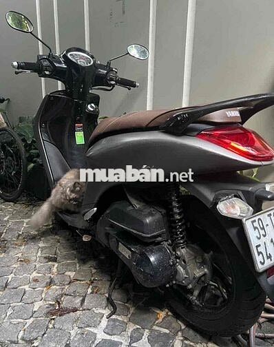 Yamaha Janus 2023 Xám