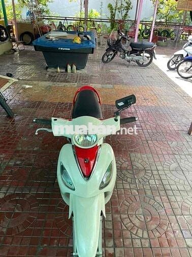 SYM Angela Trắng đỏ