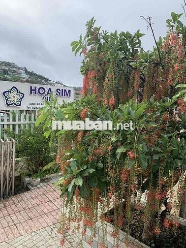 sang nhượng đất và biệt thự Đà Lạt