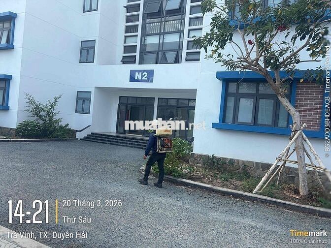 Nhân viên diệt côn trùng