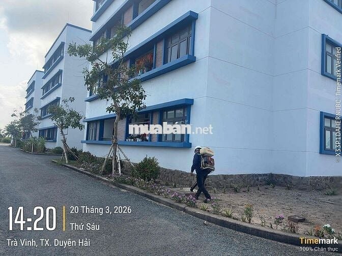 Nhân viên diệt côn trùng