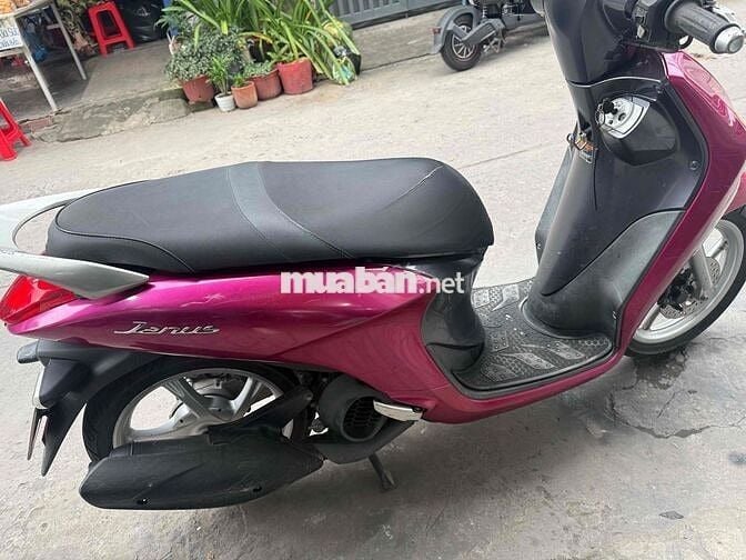 Yamaha Janus 2016 Hồng