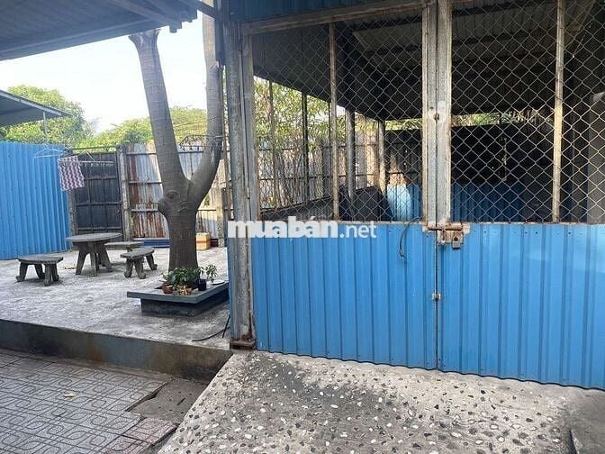 cho   nguyên căn an phú đông quận 12