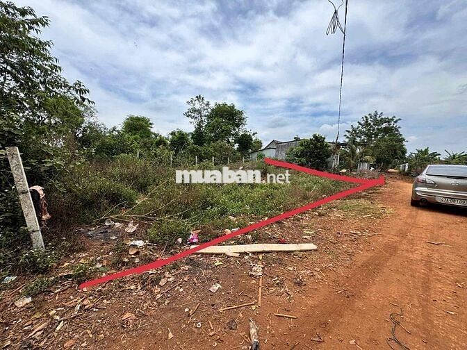CẦN TIỀN GIẢM GIÁ BÁN NHANH ĐẤT MẶT TIỀN DÀI 23M KCN PHÚ XUÂN