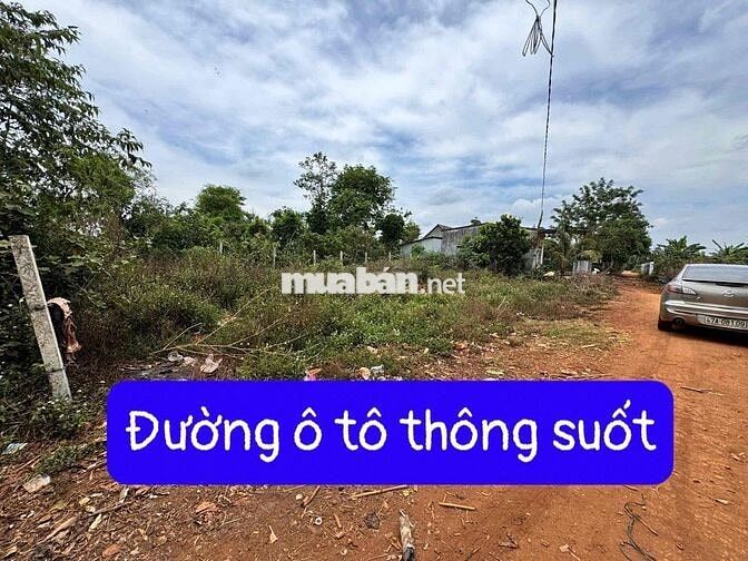 CẦN TIỀN GIẢM GIÁ BÁN NHANH ĐẤT MẶT TIỀN DÀI 23M KCN PHÚ XUÂN