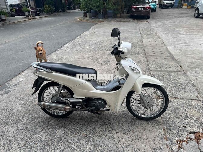 SYM Trắng 43