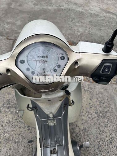 SYM Trắng 43