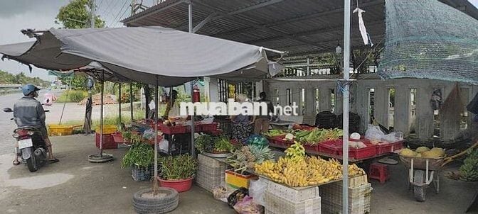 SÓC TRĂNG - TÌM 2 CHIẾN BINH SALE - CÓ LƯƠNG CỨNG