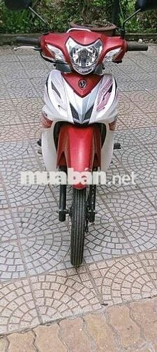 xe 50cc cho học sinh