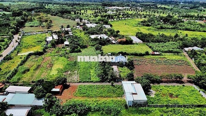 Chủ ngộp bán gấp lô đất sát cụm tiểu thủ đường 28 Hòa Long 110m2/800tr