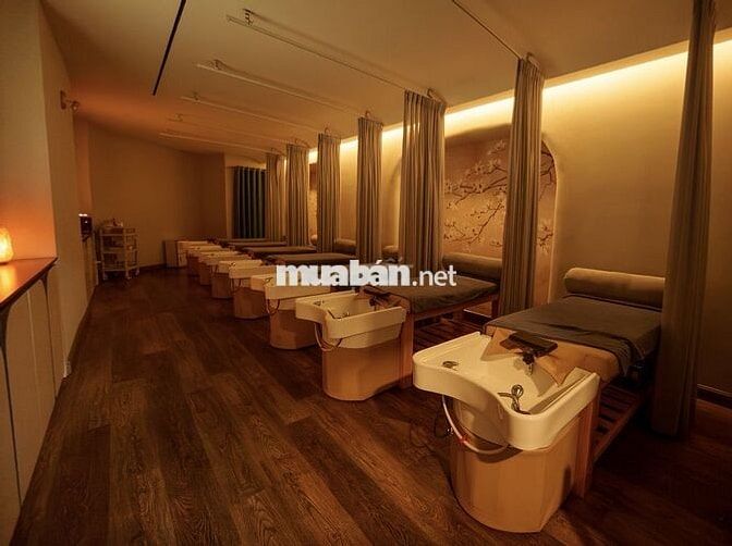 NHÀ MẶT TIỀN HOA MAI PHÚ NHUẬN, NGANG 17M 3 TẦNG NỞ HẬU, DTSD ~900M2