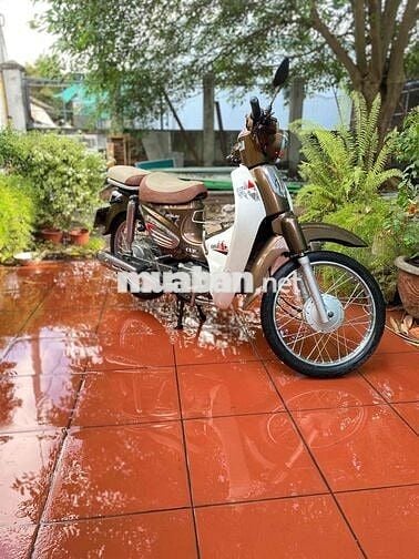 Cub Led 50cc 2023 Zin Chính Chủ