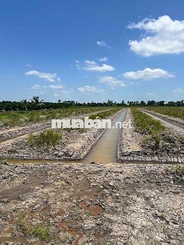 Đất vị trí đắc địa ngay TX Cai Lậy MT đường tránh 868