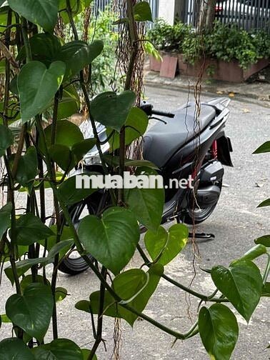 Honda SH 125i ABS 2025 fun đen black