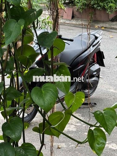 Honda SH 125i ABS 2025 fun đen black