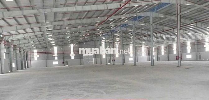 Xưởng Bán có nguồn thu 320 triệu/tháng. S 8.300m² Giá 45,1 tỷ bớt lộc