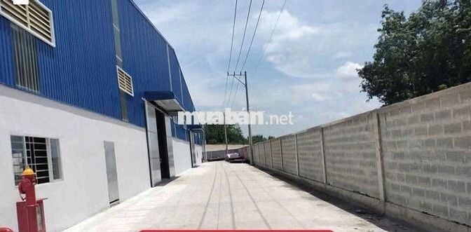 Xưởng Bán có nguồn thu 320 triệu/tháng. S 8.300m² Giá 45,1 tỷ bớt lộc