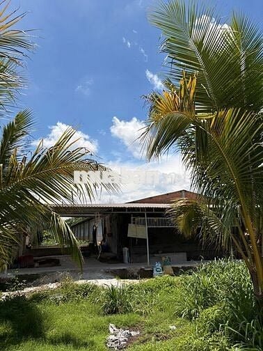 TUYỂN CÔNG NHÂN TRANG TRẠI HEO LƯƠNG TỐT