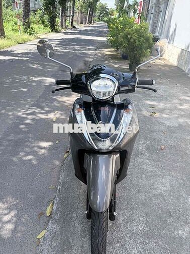 Honda Shmode 2024 Xám 288 km
