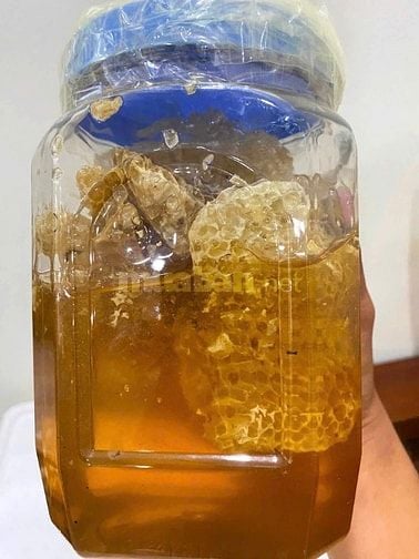 🍯 MẬT ONG CHUẨN RỪNG TÂY BẮC – CHO CÔ CHÚ, ANH CHỊ YÊU MẬT ONG THẬT