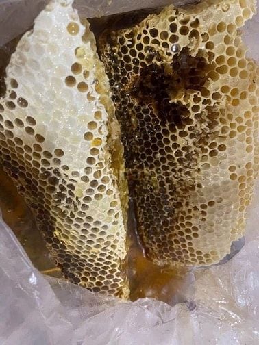 🍯 MẬT ONG CHUẨN RỪNG TÂY BẮC – CHO CÔ CHÚ, ANH CHỊ YÊU MẬT ONG THẬT