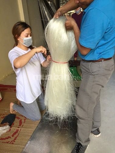 Miến khoai lang. Miến giong . Sắn dây vv tự động. Công nghệ sạch. 