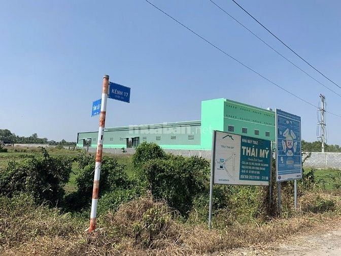 CĂN 1: Cho thuê đất chính chủ giá rẻ 3MT Tỉnh Lộ 7, X.Thái Mỹ, H.Củ Ch