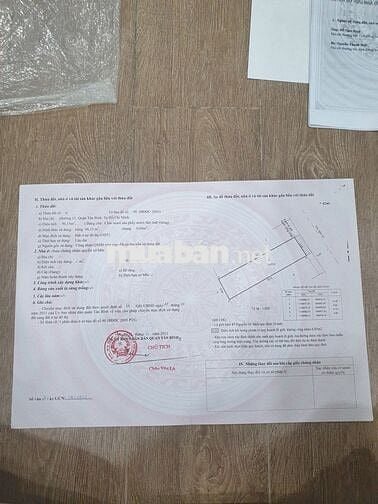 HHMG1%, Bán đất hẻm 87/117 Nguyễn Sỹ Sách, 5x 20, Hẻm 6m.