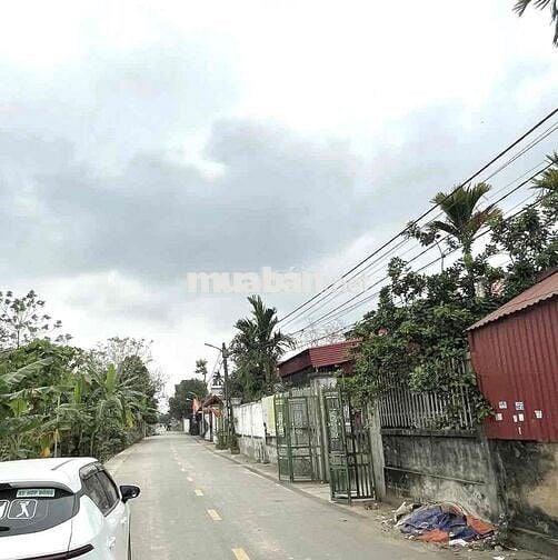 🔥BÁN ĐẤT Trục Chính Cẩm La - Hồng Châu