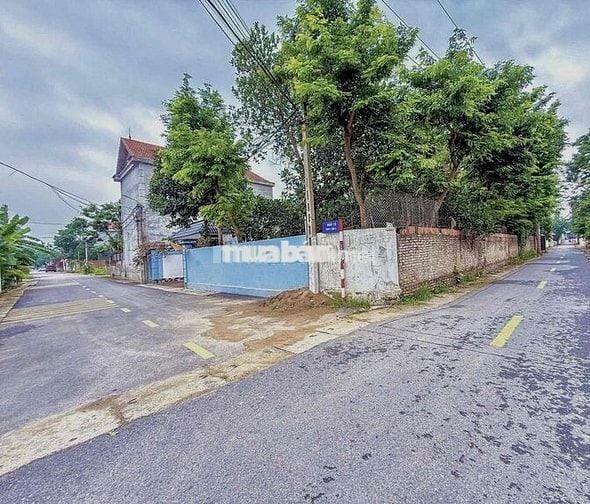 🔥BÁN ĐẤT Trục Chính Cẩm La - Hồng Châu