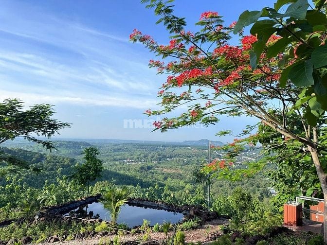 BÁN ĐẤT VƯỜN VIEW SÔNG LA NGÀ – DIỆN TÍCH 1.400m² – GIÁ CHỈ HƠN 1 TỶ  