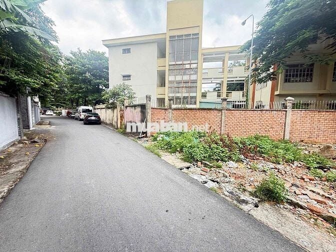 bán lô biệt thự sát trường Tiểu Học Tân Phong B