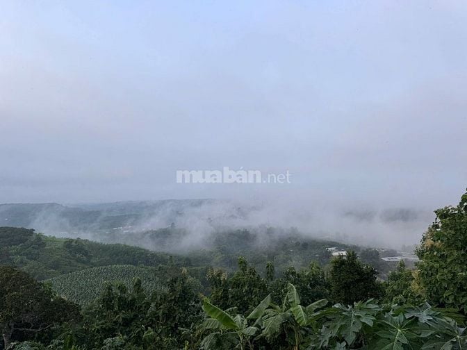 BÁN ĐẤT VƯỜN VIEW SÔNG LA NGÀ – DIỆN TÍCH 1.400m² – GIÁ CHỈ HƠN 1 TỶ  