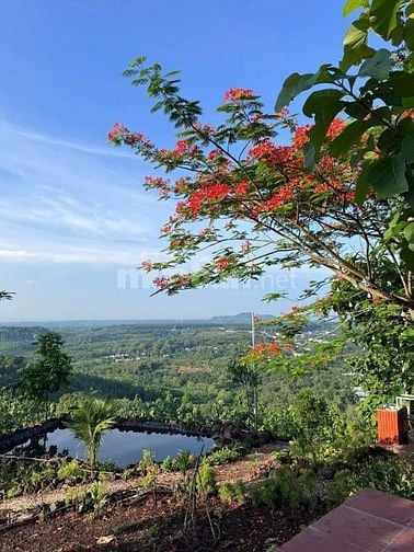 BÁN ĐẤT VƯỜN VIEW SÔNG LA NGÀ – DIỆN TÍCH 1.400m² – GIÁ CHỈ HƠN 1 TỶ  