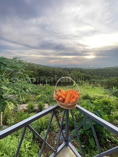 BÁN ĐẤT VƯỜN VIEW SÔNG LA NGÀ – DIỆN TÍCH 1.400m² – GIÁ CHỈ HƠN 1 TỶ  